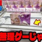 【驚愕】その日人類は思い出した！？ラウンドワン限定景品の恐怖を…【クレーンゲーム】