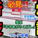 【神回】クレーンゲーム素人の嫁にやってもらったら偶然新技が生まれてしまいました【クレーンゲーム／万代高崎】