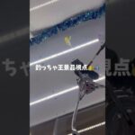 ｢釣っちゃ王｣の景品視点…？？ あなたは違和感に気づける？ #釣っちゃ王 #クレーンゲーム #ゲームセンター #ゲーセン #ゲーム