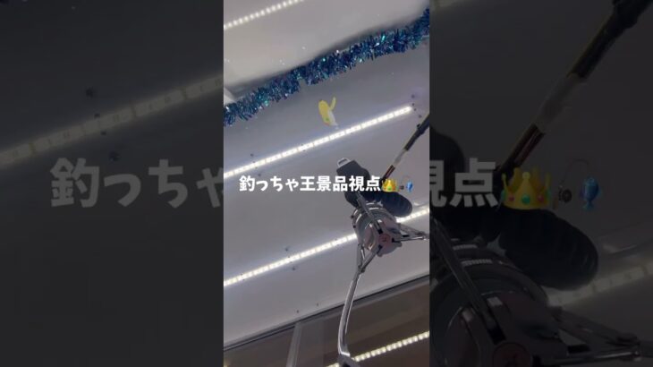 ｢釣っちゃ王｣の景品視点…？？ あなたは違和感に気づける？ #釣っちゃ王 #クレーンゲーム #ゲームセンター #ゲーセン #ゲーム