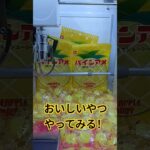 大量に取りたいw #クレーンゲーム #クレーンゲーム景品 #ゲームセンター #クレーンゲーム攻略 #ufoキャッチャー #ゲーセン #ミニクレーンゲーム #パインアメ