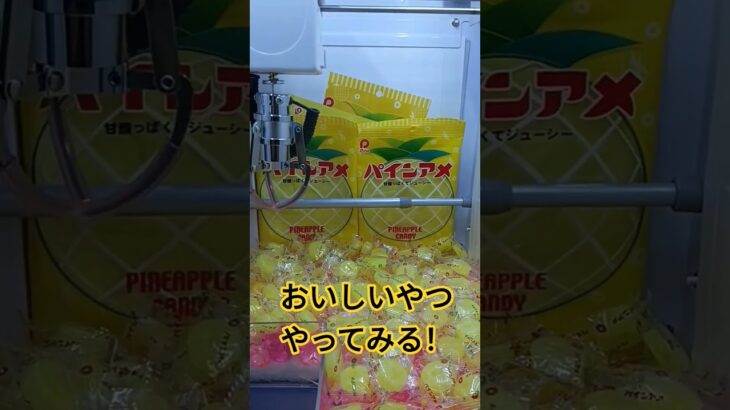 大量に取りたいw #クレーンゲーム #クレーンゲーム景品 #ゲームセンター #クレーンゲーム攻略 #ufoキャッチャー #ゲーセン #ミニクレーンゲーム #パインアメ
