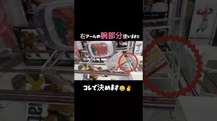 【クレーンゲーム】#とれとる米原店 さんでナッパ撃破💥ww