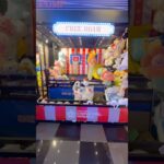 ゴールを決めて大きい景品をゲットするぞww #shorts #クレーンゲーム #ufoキャッチャー #ゲーセン #clawmachine #arcade