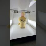暴れるうさぎを捕まえて遊んでみたww#shorts #クレーンゲーム #ufoキャッチャー #ゲーセン #clawmachine #arcade #funny #tiktok