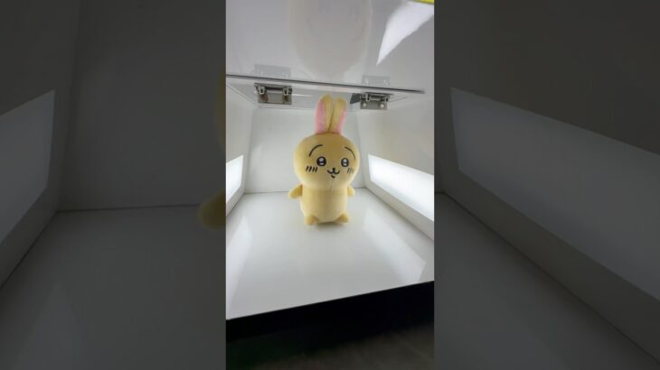 暴れるうさぎを捕まえて遊んでみたww#shorts #クレーンゲーム #ufoキャッチャー #ゲーセン #clawmachine #arcade #funny #tiktok