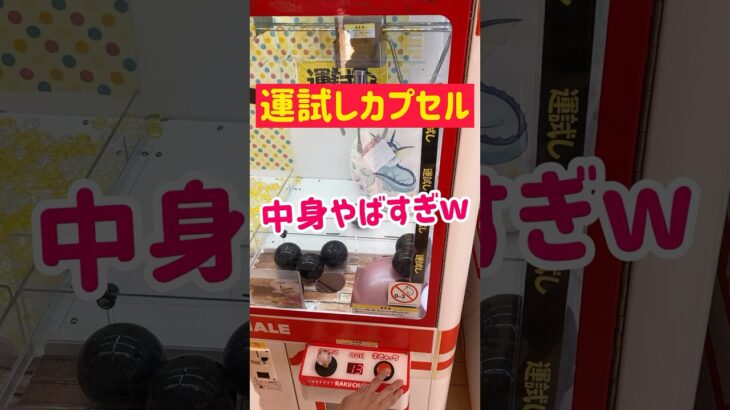 【運試しカプセル】闇が深すぎる景品ゲットwww
