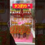 【大量フック】タコ釣り🐙の景品はイカ🦑www