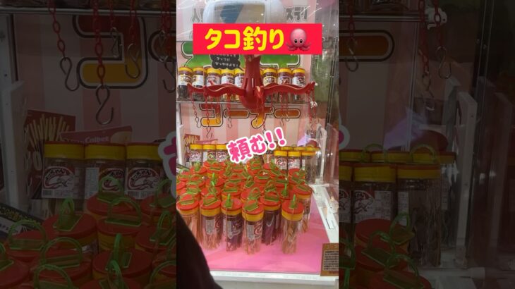 【大量フック】タコ釣り🐙の景品はイカ🦑www