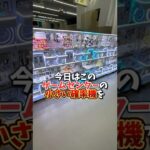 【ゲーセン】確率機を全ブース1回ずつやったら何個取れるのか検証してみた。