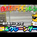 【1万円チャレンジ】フリーレンはいったいどこへ…  LIVE IN METOKYO SHINJUKU