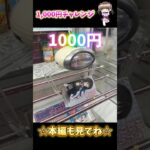 クレーンゲーム1000円チャレンジ #クレーンゲーム #クレーンゲーム攻略 #ufoキャッチャー #ゲームセンター #ゲーセン