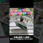 クレーンゲーム1000円チャレンジ#クレーンゲーム #クレーンゲーム攻略 #ufoキャッチャー #ゲームセンター #ゲーセン