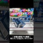 クレーンゲーム1000円チャレンジ#クレーンゲーム #クレーンゲーム攻略 #ufoキャッチャー #ゲームセンター #ゲーセン