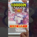 想像を絶する10000円チャレンジの結果… #shorts #クレーンゲーム #ufoキャッチャー #cranegame