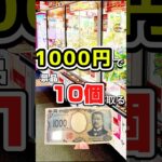 1000円で景品10個取る！　#shorts #クレーンゲーム #クレーンゲーム攻略 #ゲームセンター #ufoキャッチャー