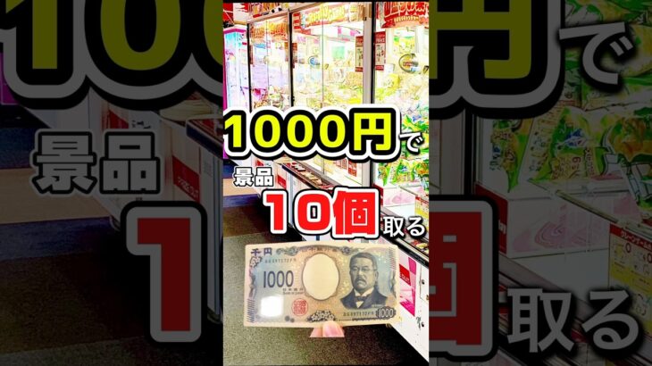 1000円で景品10個取る！　#shorts #クレーンゲーム #クレーンゲーム攻略 #ゲームセンター #ufoキャッチャー