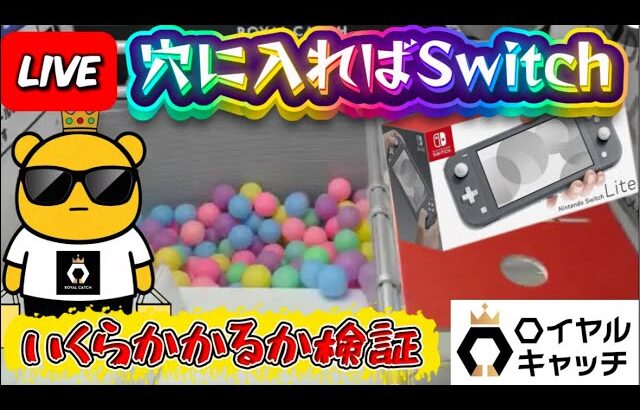 【ロイヤルキャッチ攻略】高額オンクレで10万ptでどれくらい取れるかチャレンジ!! #オンラインクレーンゲーム #ufoキャッチャー #ロイヤルキャッチ