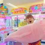 【クレーンゲーム】1万円で奇跡の大物GET！お得すぎた結果ｗ
