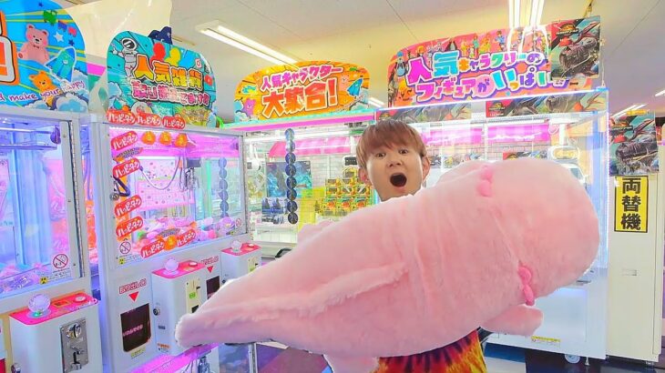 【クレーンゲーム】1万円で奇跡の大物GET！お得すぎた結果ｗ