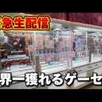 【クレーンゲーム】世界で1番獲れる場所へ！全てが規格外のお店で暴れます！【回遊館養父店・UFOキャッチャー】