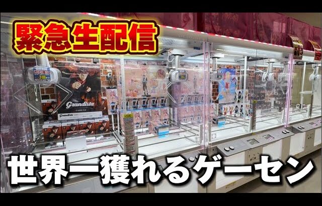 【クレーンゲーム】世界で1番獲れる場所へ！全てが規格外のお店で暴れます！【回遊館養父店・UFOキャッチャー】