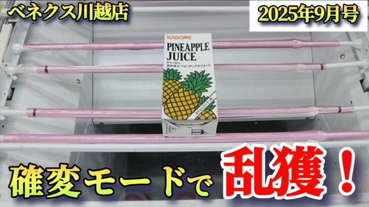 【月刊ベネクス川越店】クレーンゲーム日本一獲れるお店で確変モードで景品の取るコツを紹介 #2025年9月