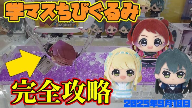 【クレーンゲーム】再販した人気のちびぐるみを完全攻略 #学マス 2025年9月18日