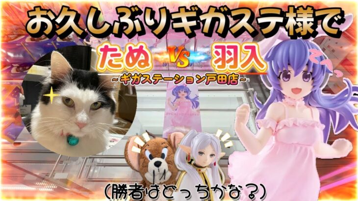 【勉強212日目】たぬvs羽入！激熱たぬリーチからが難しい！果たして勝者はどっち！？今回のおまけは○○パックです★～ギガステーション戸田店～