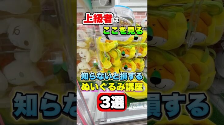 【激変】まじでたったこの3つだけを真似してみて！！！ #shorts #クレーンゲーム #ufoキャッチャー #ゲーセン #ゲームセンター #arcade #clawmachine