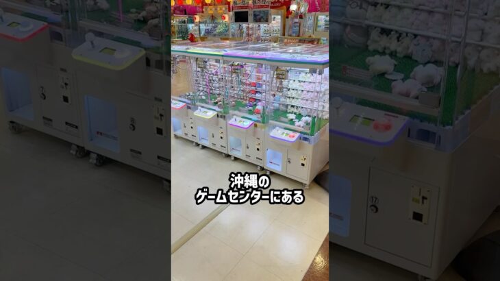 小さい3本ヅメコーナー全台攻略するのにいくら掛かるのか調査してみた #shorts #クレーンゲーム #ufoキャッチャー #ゲーセン #ゲームセンター #arcade #clawmachine