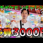 予算3000円全て新作ポケモンにぶち込む！ 2種コンプ出来るのか!?