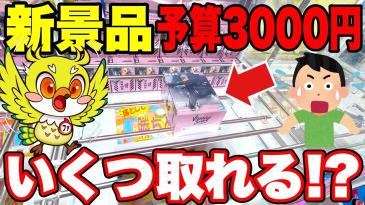 【クレーンゲーム】3000円で最新プライズフィギュアはいくつ取れる!? 橋渡し設定攻略！Claw Machine Challenge