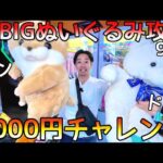 3000円全部超BIGぬいぐるみにぶっ込んだら可愛いヤツGET！