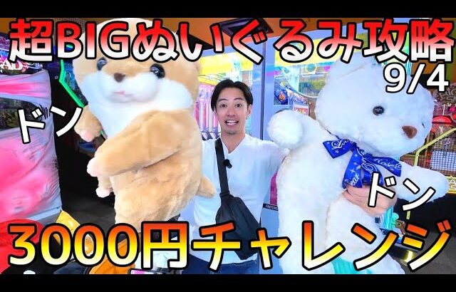 3000円全部超BIGぬいぐるみにぶっ込んだら可愛いヤツGET！