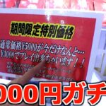 値下げされてる5000円ガチャが怪しいのでPLAYしてみたww【クレーンゲーム／UFOキャッチャー】