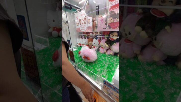 【クレーンゲーム】モンチッチに500円の運試し🙏［ROUND1/1回100円/ストップボタンあり］#round1 #クレーンゲーム#確率機#モンチッチ #運試し