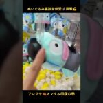 ハンギョドン🐟️ノスタルジックモノトーンBIGぬいぐるみ裏技を教えて貰って楽々ゴトン🦸🏻‍♀️