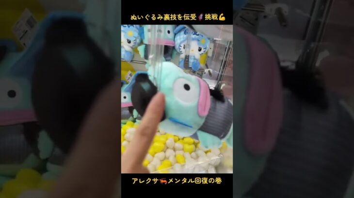 ハンギョドン🐟️ノスタルジックモノトーンBIGぬいぐるみ裏技を教えて貰って楽々ゴトン🦸🏻‍♀️