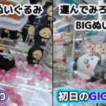 ちいかわ黒猫のぬいぐるみ☆ 運んでみろッBIGぬいぐるみ☆ GIGOで初日チャレンジ！！【クレーンゲーム】