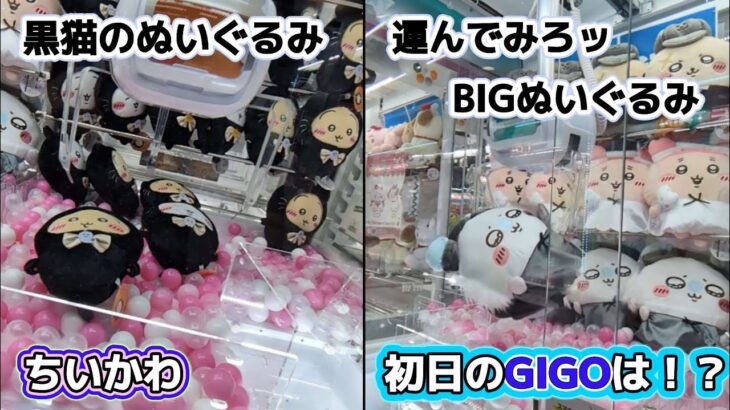 ちいかわ黒猫のぬいぐるみ☆ 運んでみろッBIGぬいぐるみ☆ GIGOで初日チャレンジ！！【クレーンゲーム】
