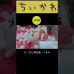 【ちいかわ】三本爪を確率無視‼️運んで…みろッBIGぬいぐるみ(古本屋) #クレーンゲーム #ufoキャッチャー攻略法 #ちいかわ #三本爪 #確率無視