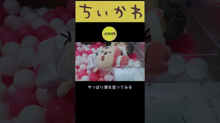 【ちいかわ】三本爪を確率無視‼️運んで…みろッBIGぬいぐるみ(古本屋) #クレーンゲーム #ufoキャッチャー攻略法 #ちいかわ #三本爪 #確率無視