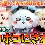 【ちいかわクレゲ】ボコボコ散財祭り！ちいかわ最新プライズ運んでみろッBIGぬいぐるみに挑戦！【ちいかわグッズ】【chiikawa】【おはるのちい活vlog】【クレーンゲーム】【UFOキャッチャー】