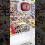 🍫 バラエテイBOX  景品 GET Chocolate Box Claw Machine 🍫