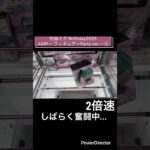 【クレーンゲーム】初音ミク Birthday2025　AMP＋ フィギュア～Party ver.～② #初音ミク　#cgs岩槻店 #プライズ
