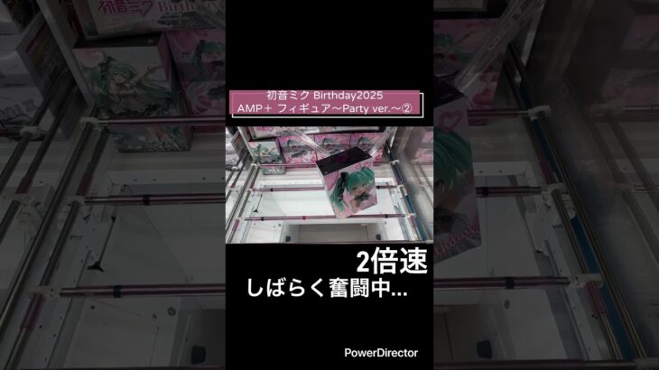 【クレーンゲーム】初音ミク Birthday2025　AMP＋ フィギュア～Party ver.～② #初音ミク　#cgs岩槻店 #プライズ