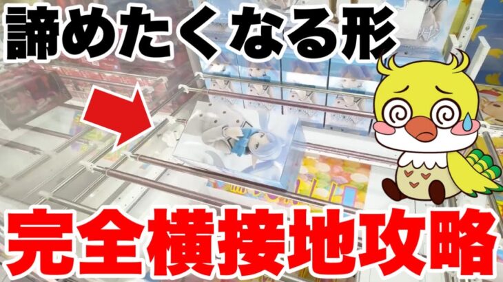 【クレーンゲーム】橋渡し設定で完全横接地から奇跡の攻略テクニック！Claw Machine Bridge Setting｜ファルコンTV
