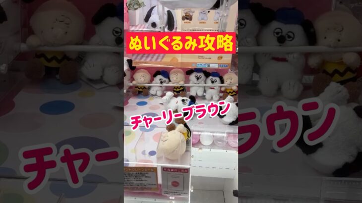 【ぬいぐるみ攻略】チャーリーブラウンを持ち上げGET！！！