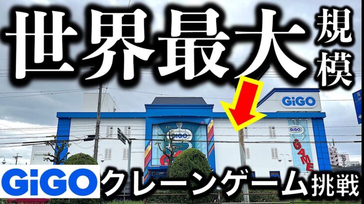 【世界級パワー】世界最大規模のGiGO ！北岡崎に遠征クレーンゲーム調査＆挑戦！　世界クラスのパワーに翻弄される？！　ちいかわ最新プライズも！【UFOキャッチャー／フィギュア／ぬいぐるみ／ちいかわ】